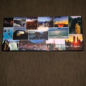 URBAN DECAY BORN TO RUN PALETTE